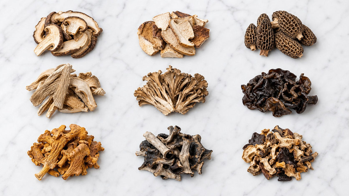 A Field Guide to Dried Gourmet Mushrooms: Porcini, Morel, Chanterelle & Friends