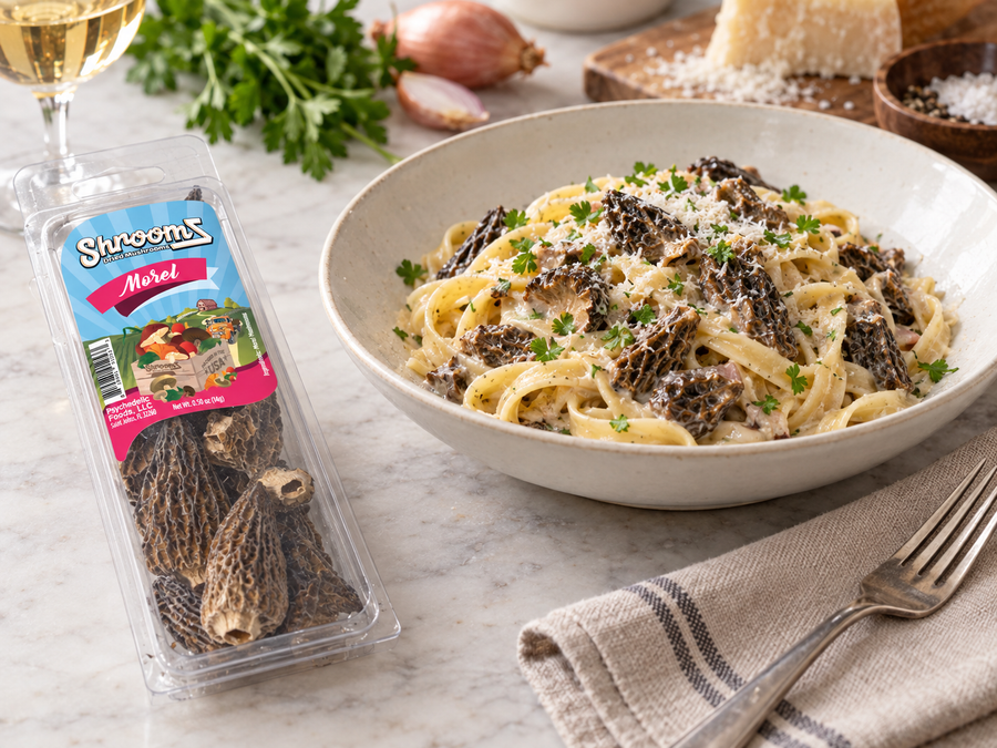 Morel ShroomZ beside fettuccine with morels in cream sauce — lifestyle